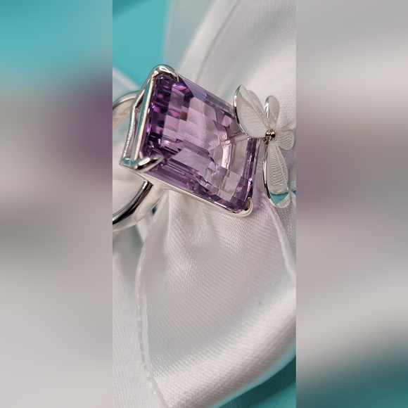 Tiffany & Co Rare Love Bugs Amethyst Butterfly Ring sz 6 - NEW - Authentic - Picture 5 of 9